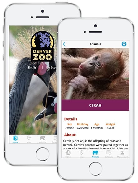 Screenshots of mobile app