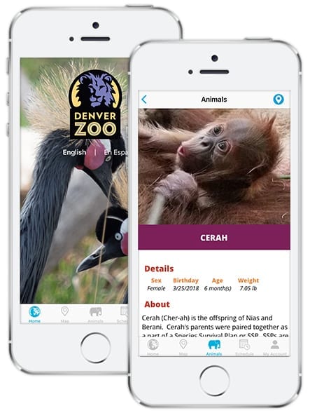 Denver Zoo Animals List