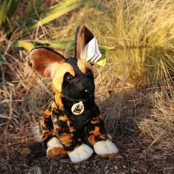 Plus African wild dog in African plants