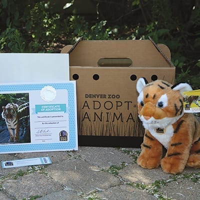 Plush tiger next to adoption box and certificate