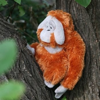Plush orangutan sitting in tree