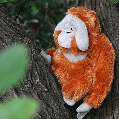 orangutan stuffed animal in tree
