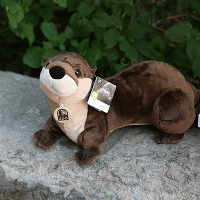 otter with stuffed animal