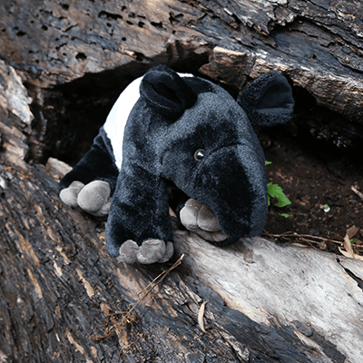 Adopt An Animal Malayan Tapir Denver Zoo