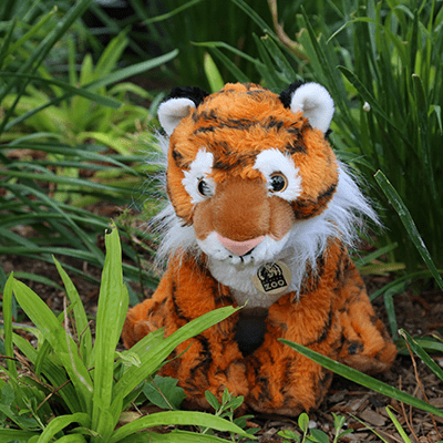 tiger stuffed animal in grass