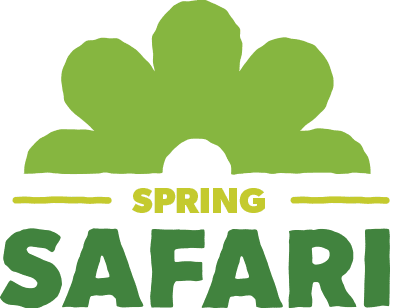 Spring Safari logo