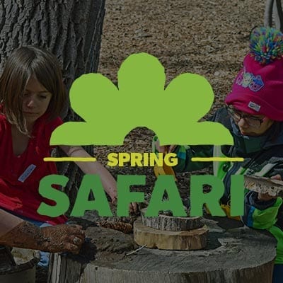 Spring Safari logo over photo