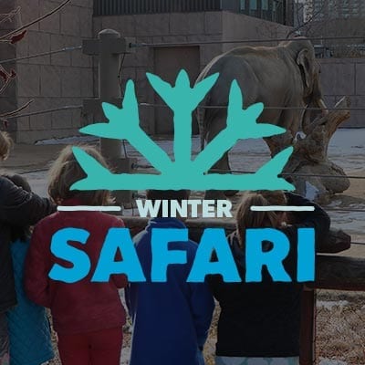 Winter Safari logo over photo
