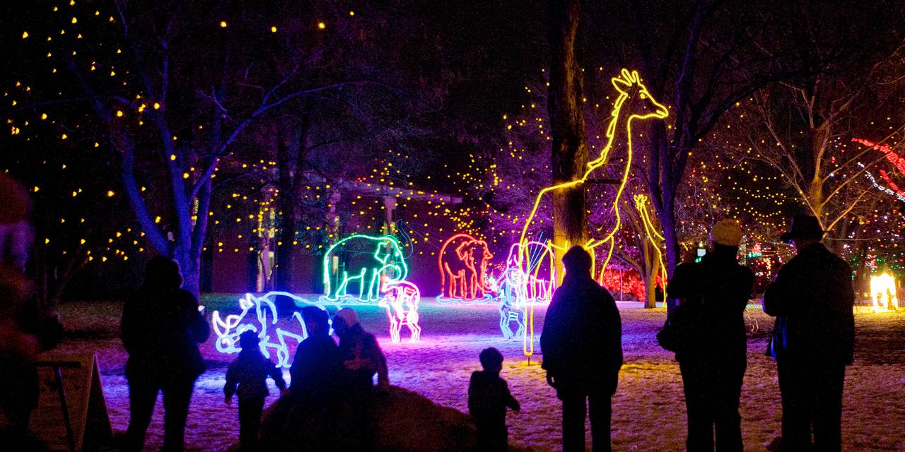 24+ Denver Zoo Christmas Lights 2021