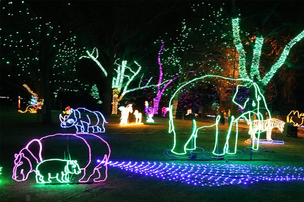 Zoo Lights Denver Zoo