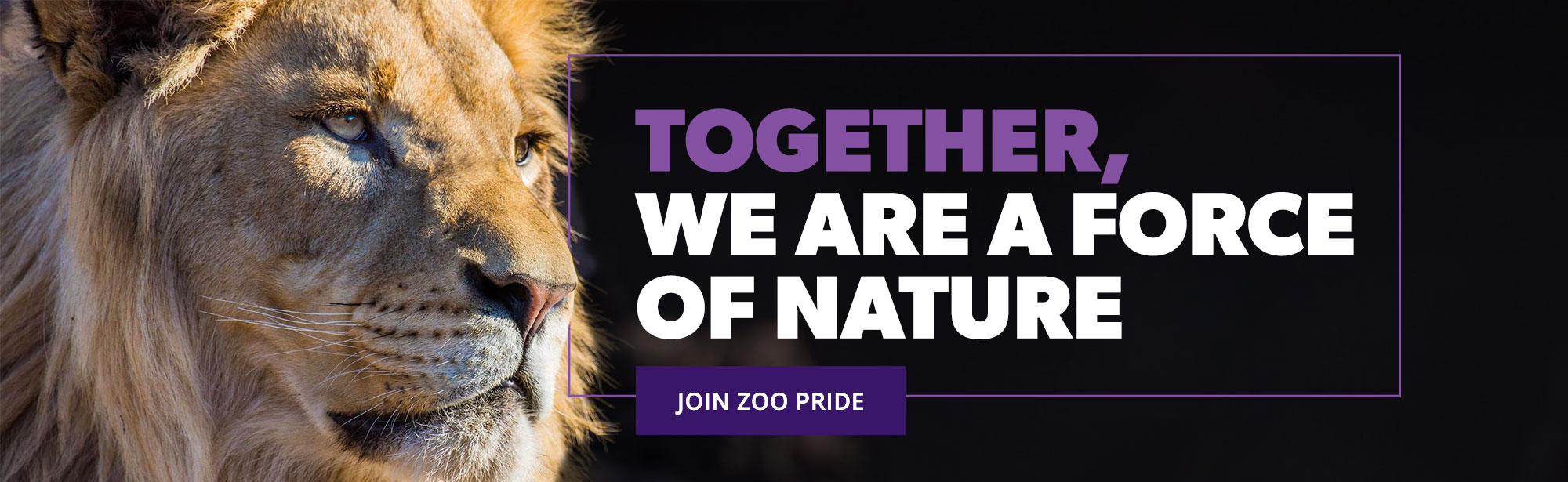 Zoo Pride CTA Desktop