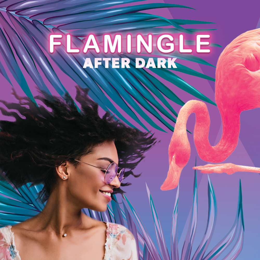 Flamingle Thumb