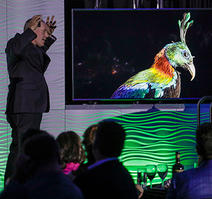 A Force Of Nature 2019 Denver Zoo GALA