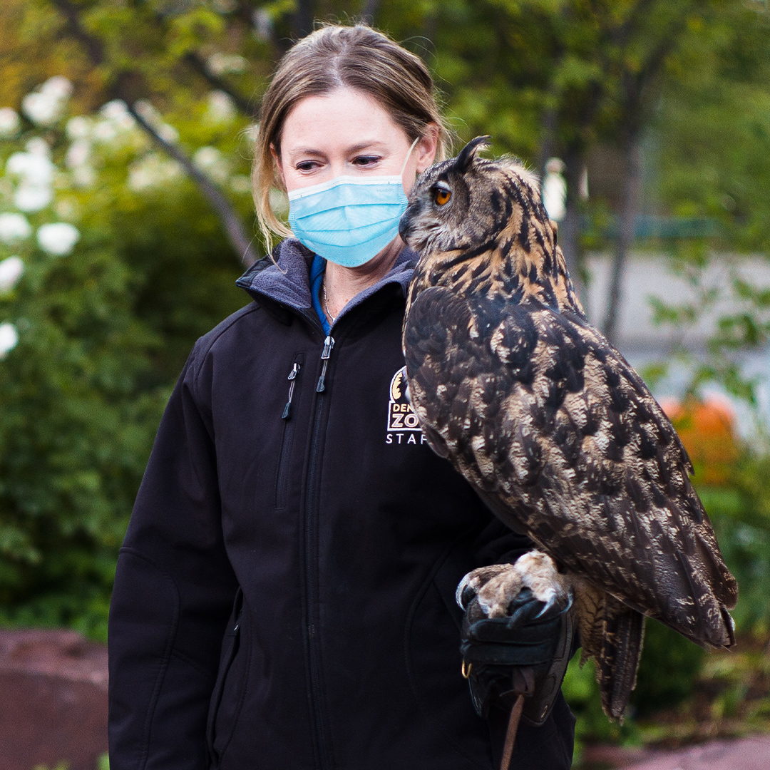 Facebook_Carousel_Owl_Encounter animal keeper and owl