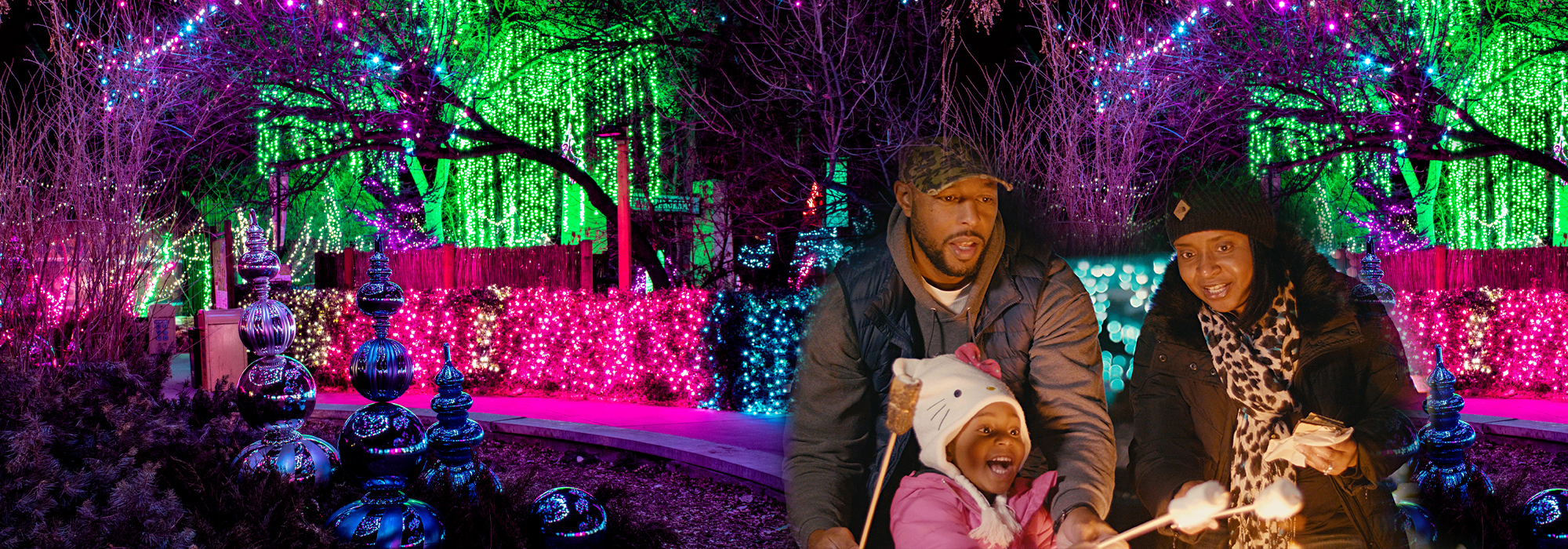 ImageZooLights ImageZooLights