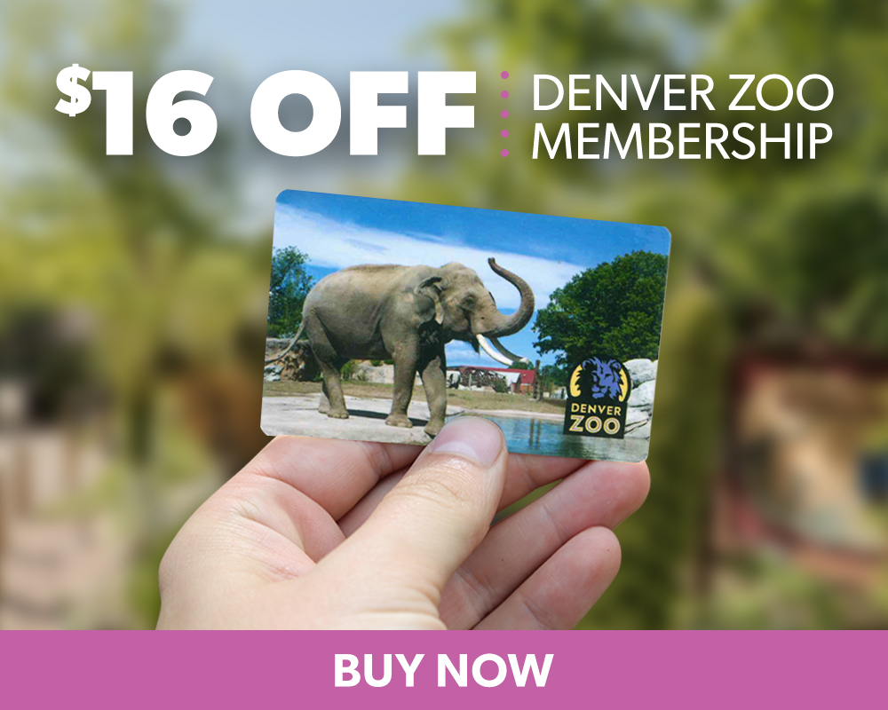 Black Friday Deals At Denver Zoo Denver Zoo