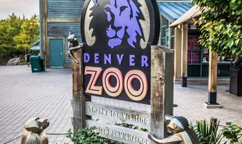 Welcome to Denver Zoo