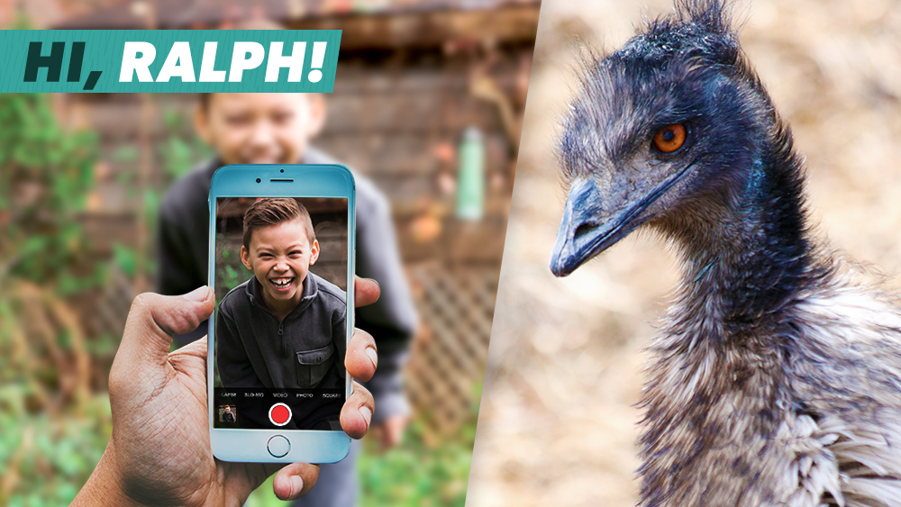 Zoo to You: Virtual Safari – Ralph's Video Booster