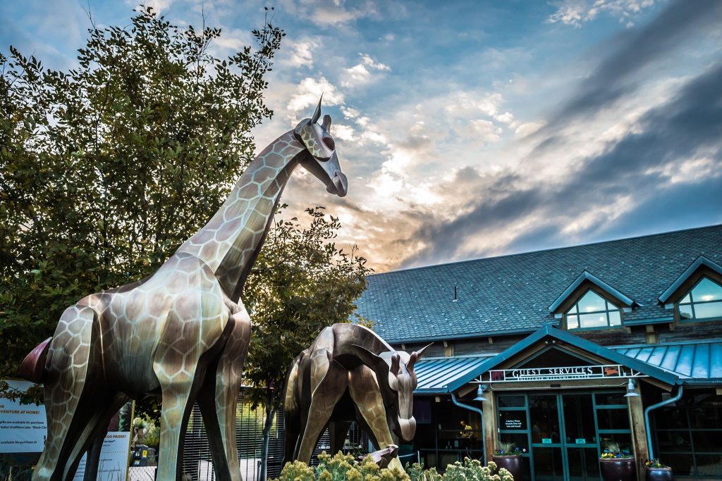 Denver Zoo to Reopen to Members on June 10, General Public on June 12