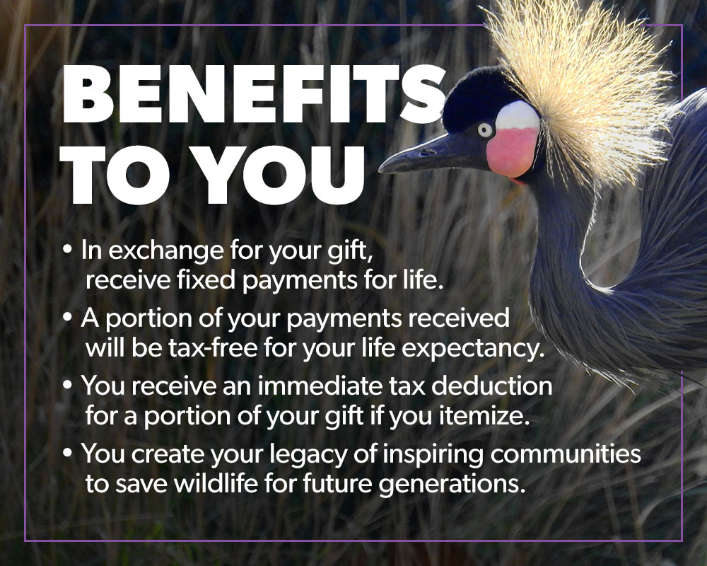 benefits to you crane