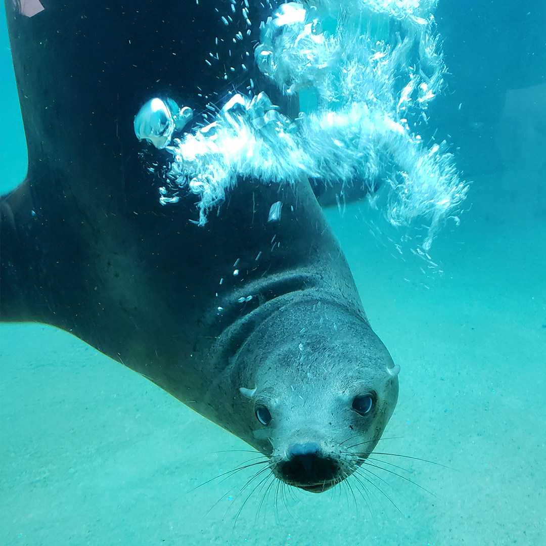 Advancing Sustainability