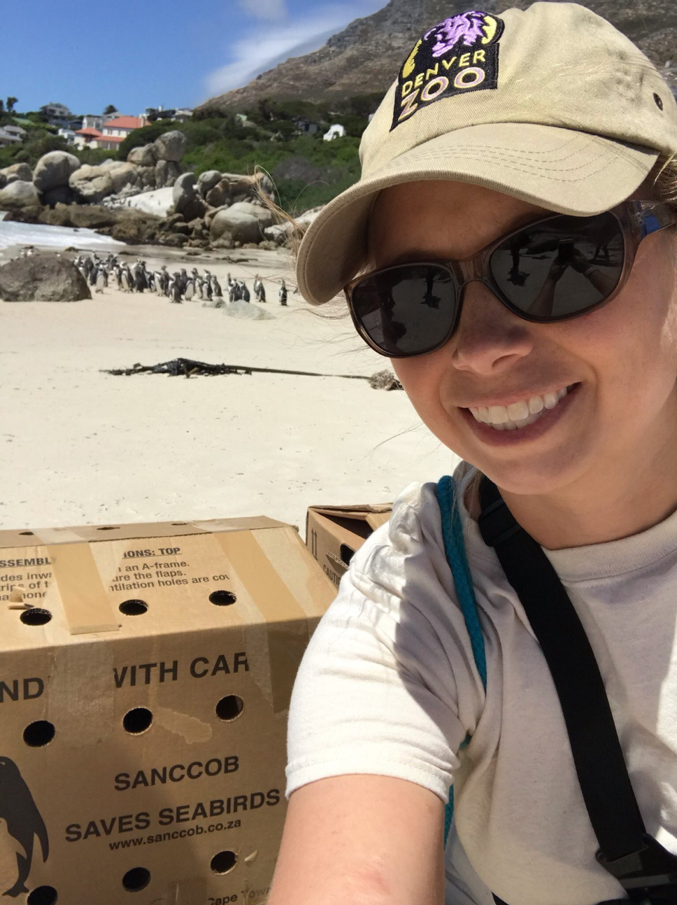 Stephanie after releasing rehabilitated penguins to the resident African penguin colony at Boulders Beach