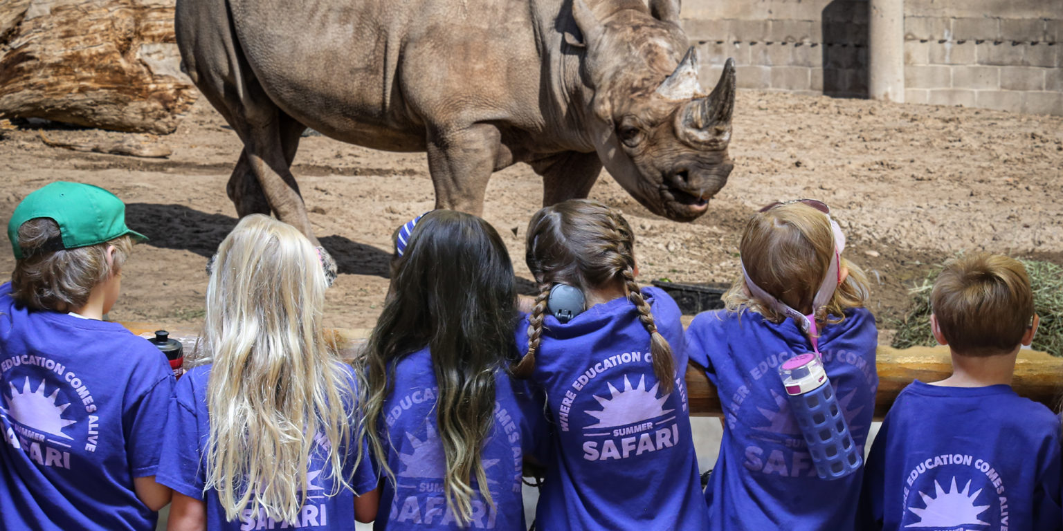 Safari Camps Denver Zoo