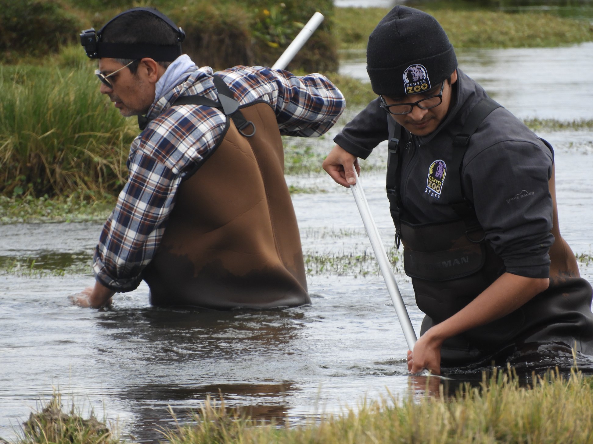 Luis (right) conducting his research in Lake Junin
