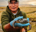 Henry holding a Lake Junin Frog