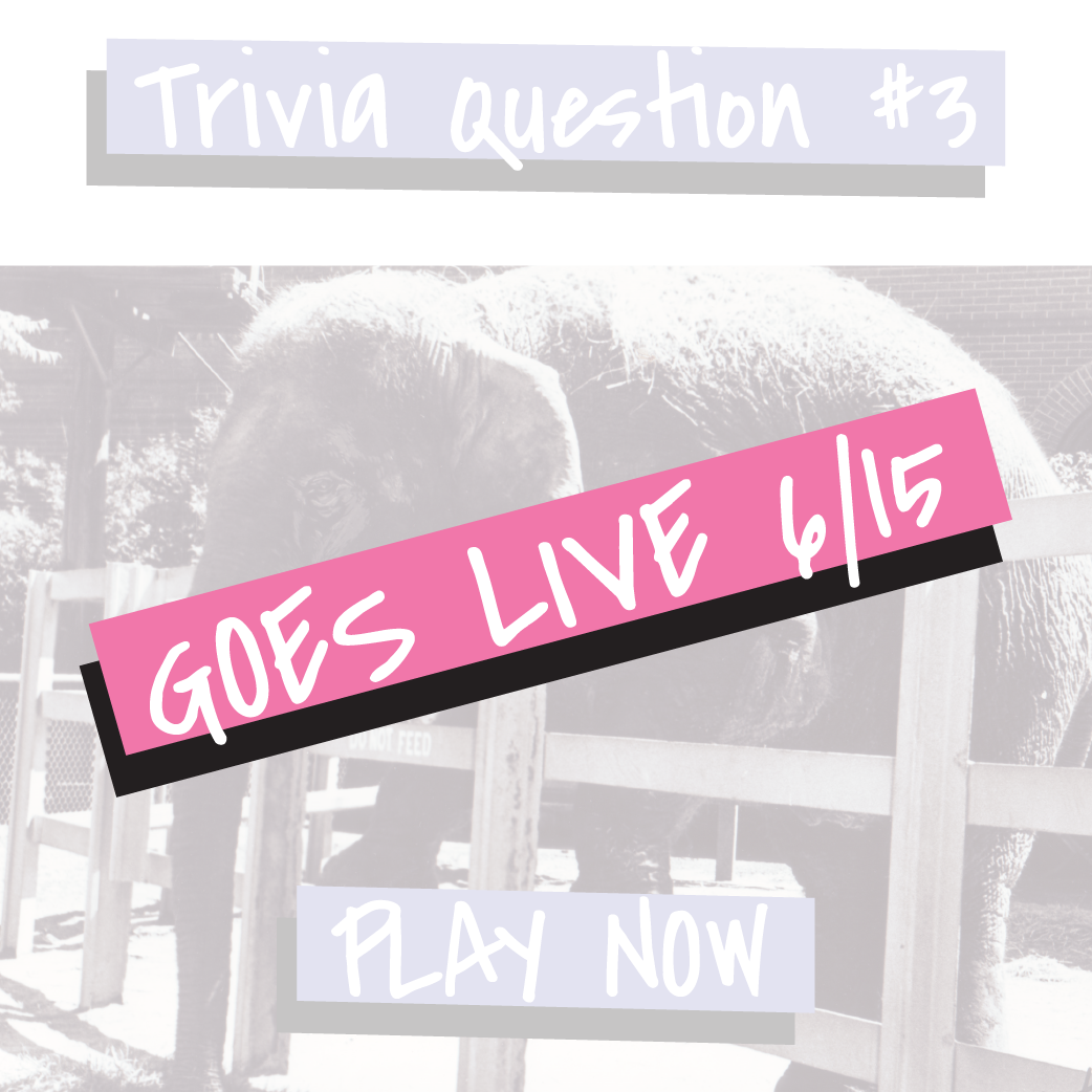 Trivia_Q3 coming soon