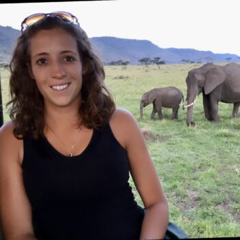 Napheys Elephant Headshot