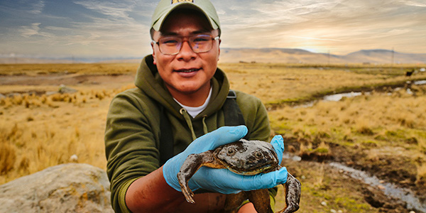 Field Conservation in Peru