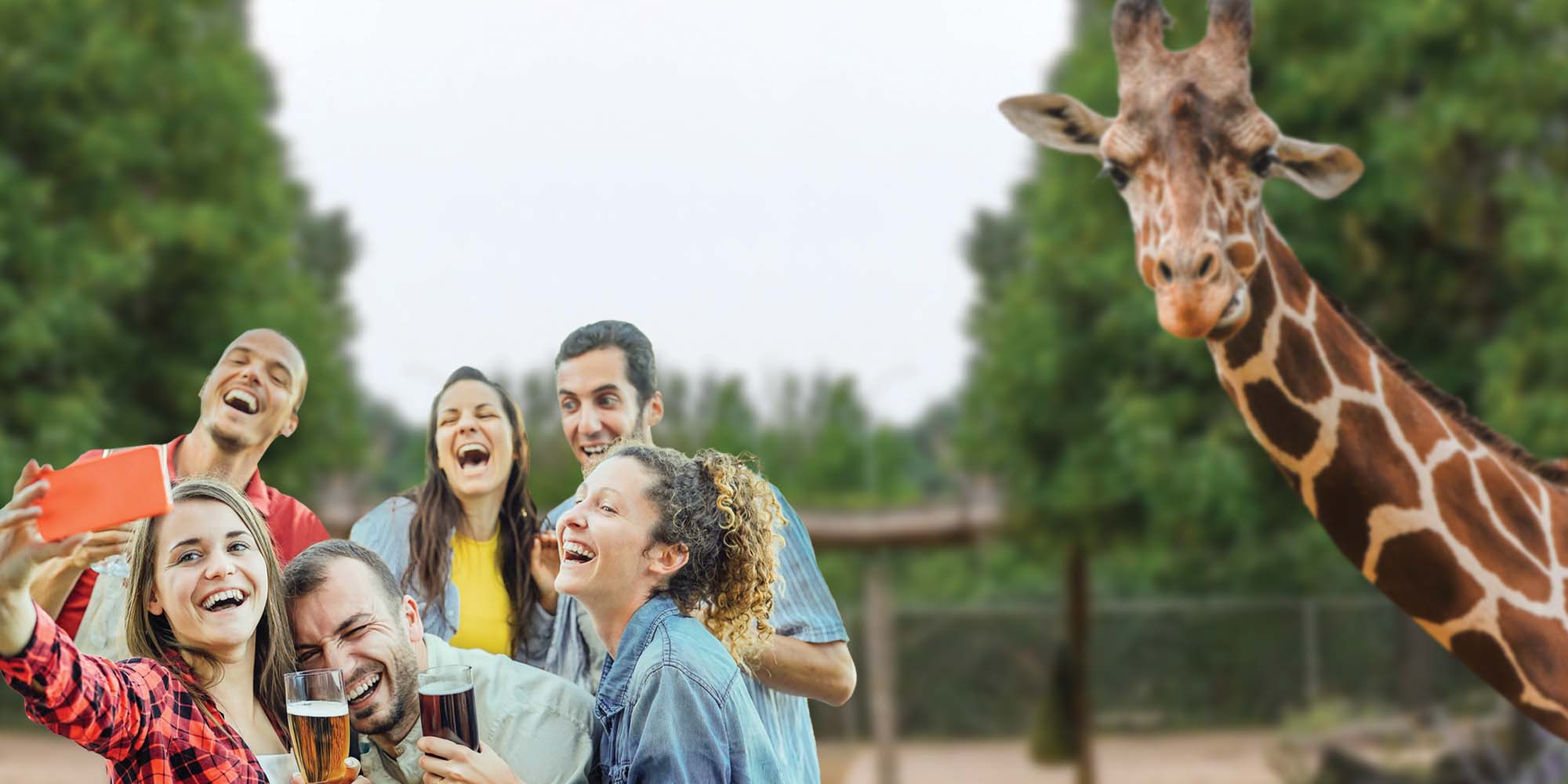 summer-adult-night-denver-zoo