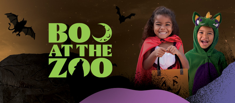 Boo at the Zoo - Denver Zoo Conservation Alliance