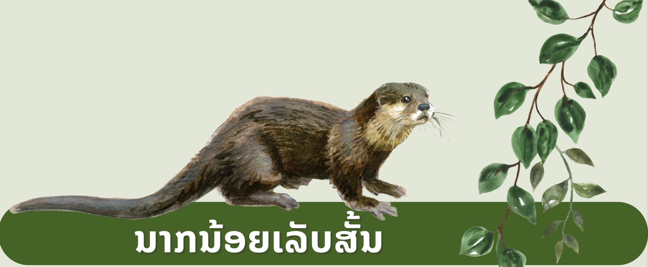 Supporting Global Conservation Without Leaving Home