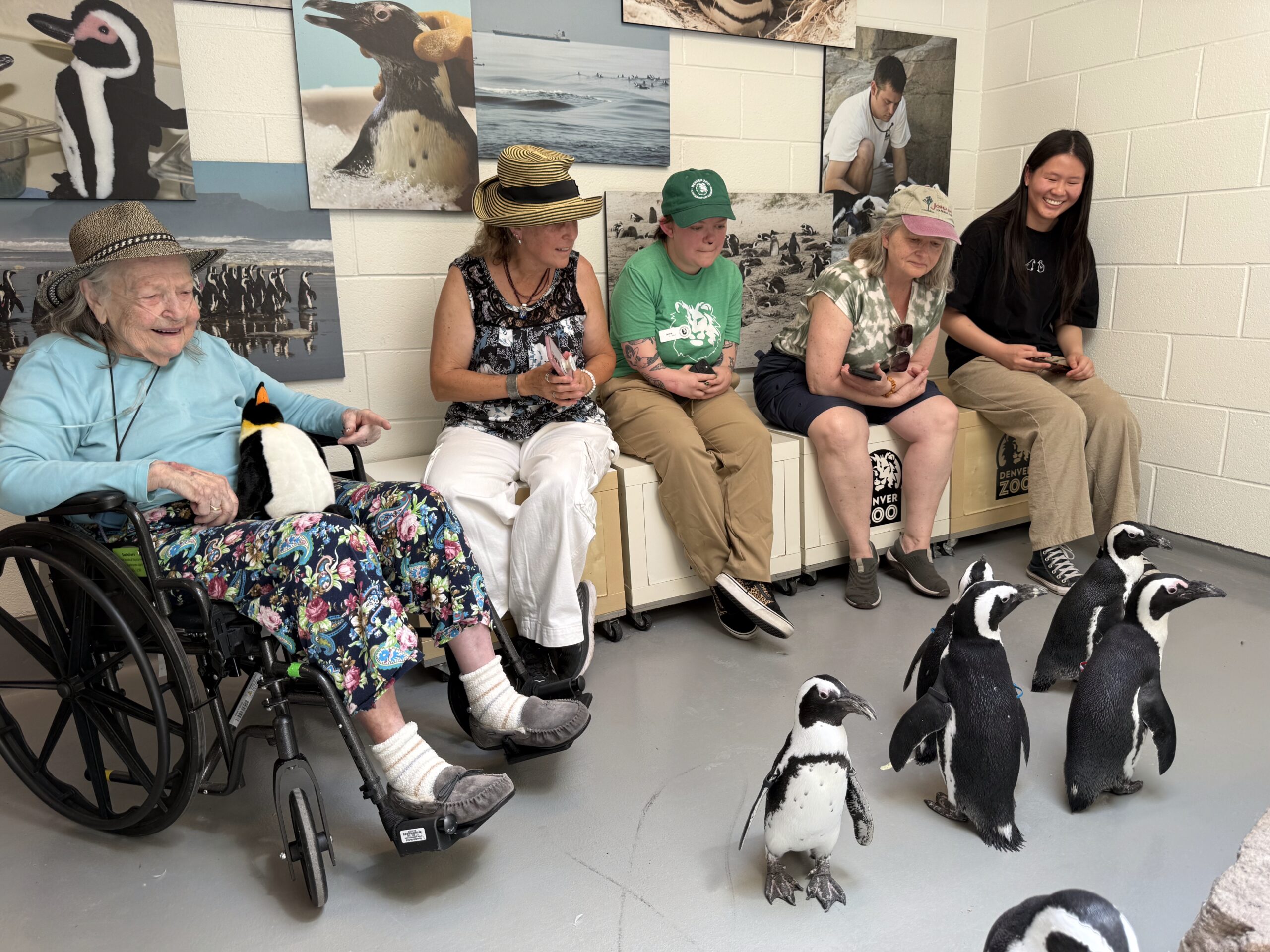 Dreams Come True: A Penguin Encounter Decades in the Making
