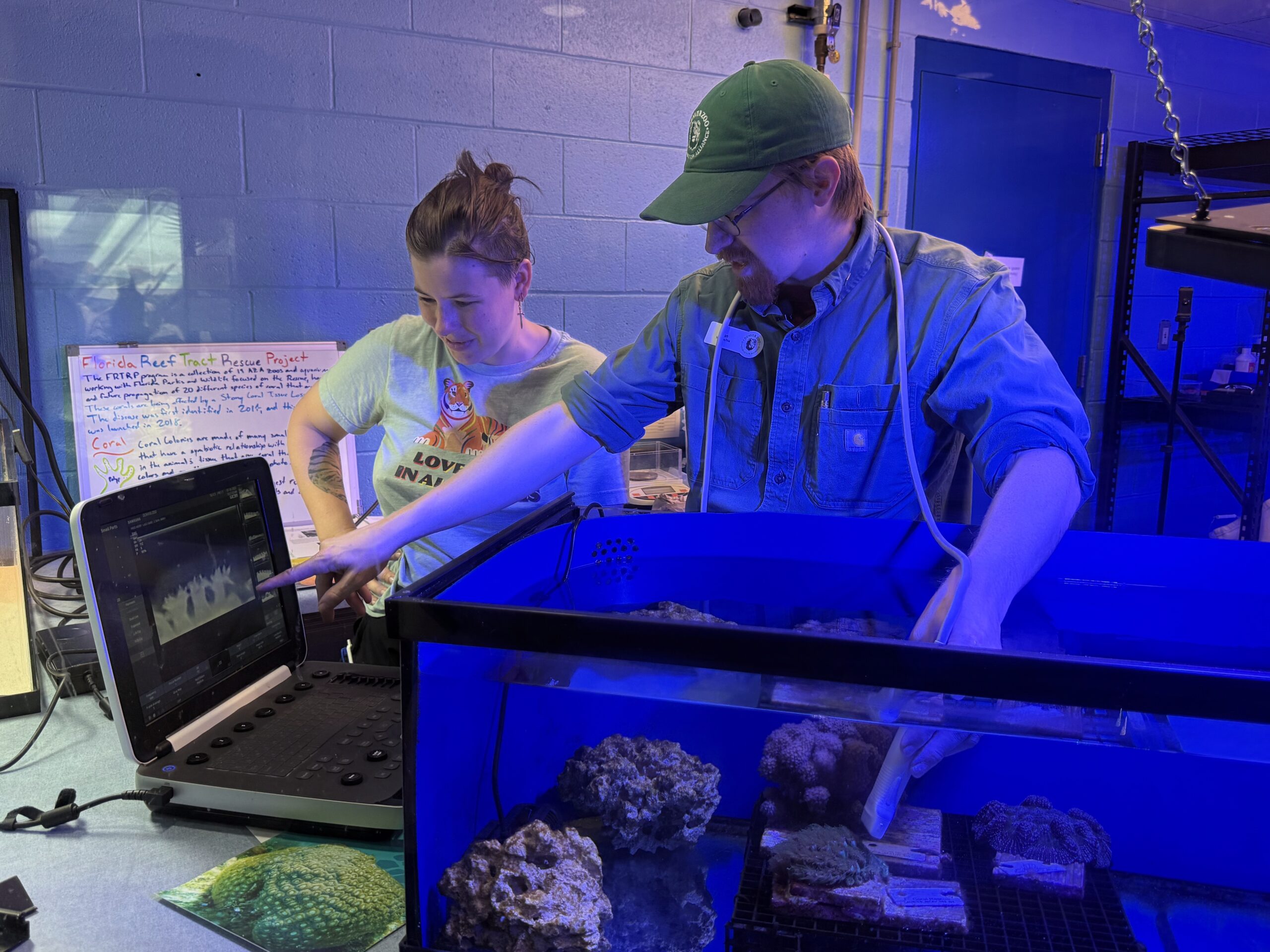 A Chance for Corals