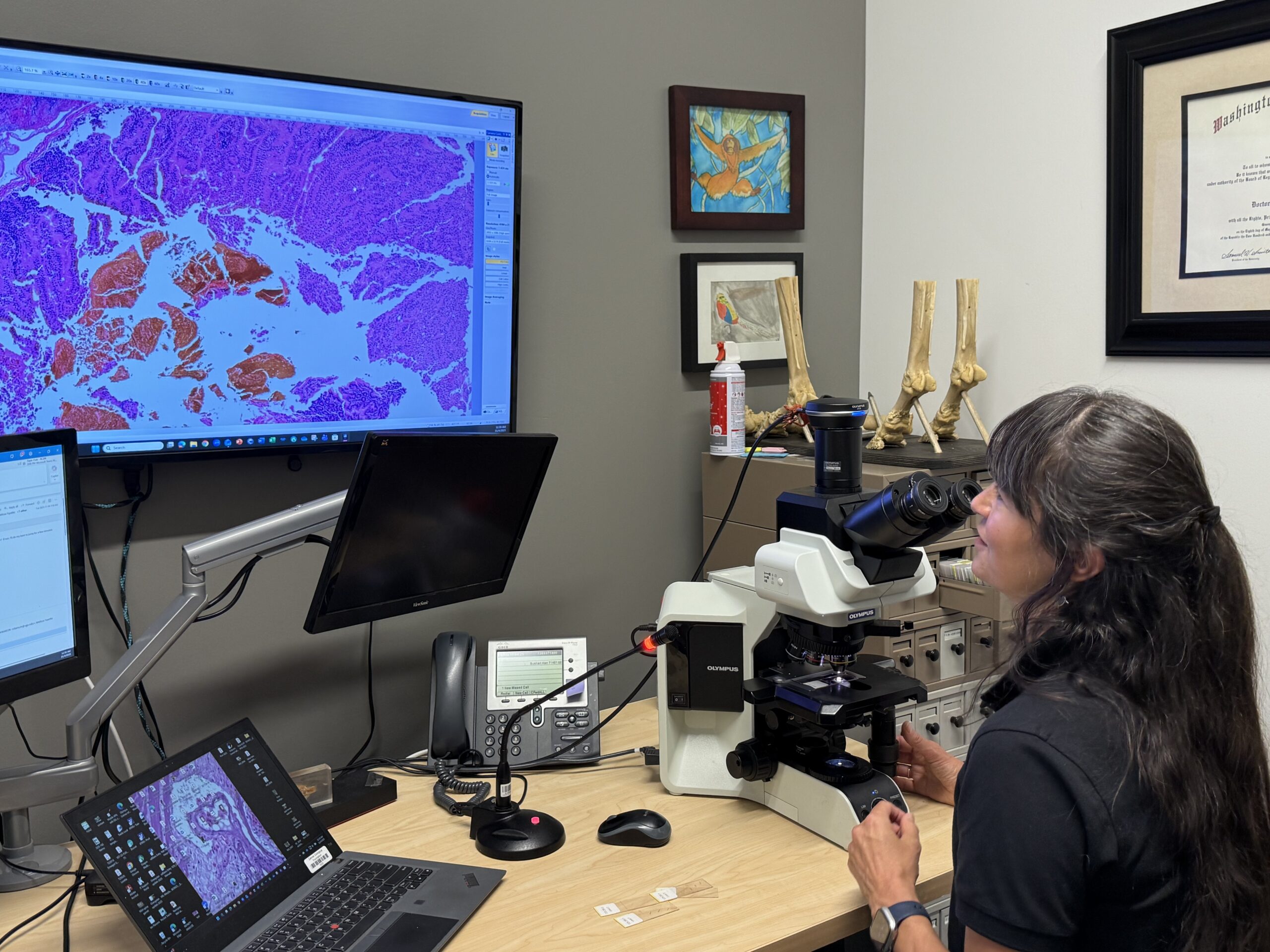 Life After Death: A Look into DZCA’s Unique Pathology Program