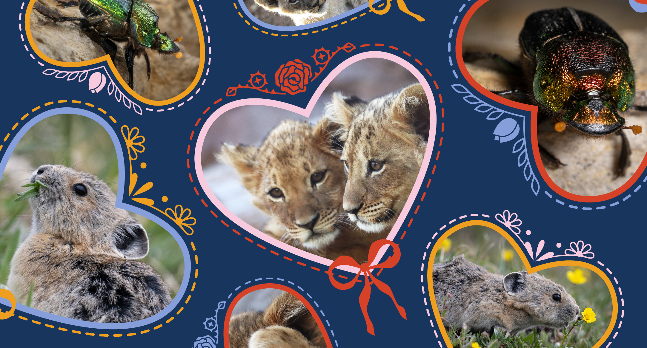 Conservation is Love In Action 