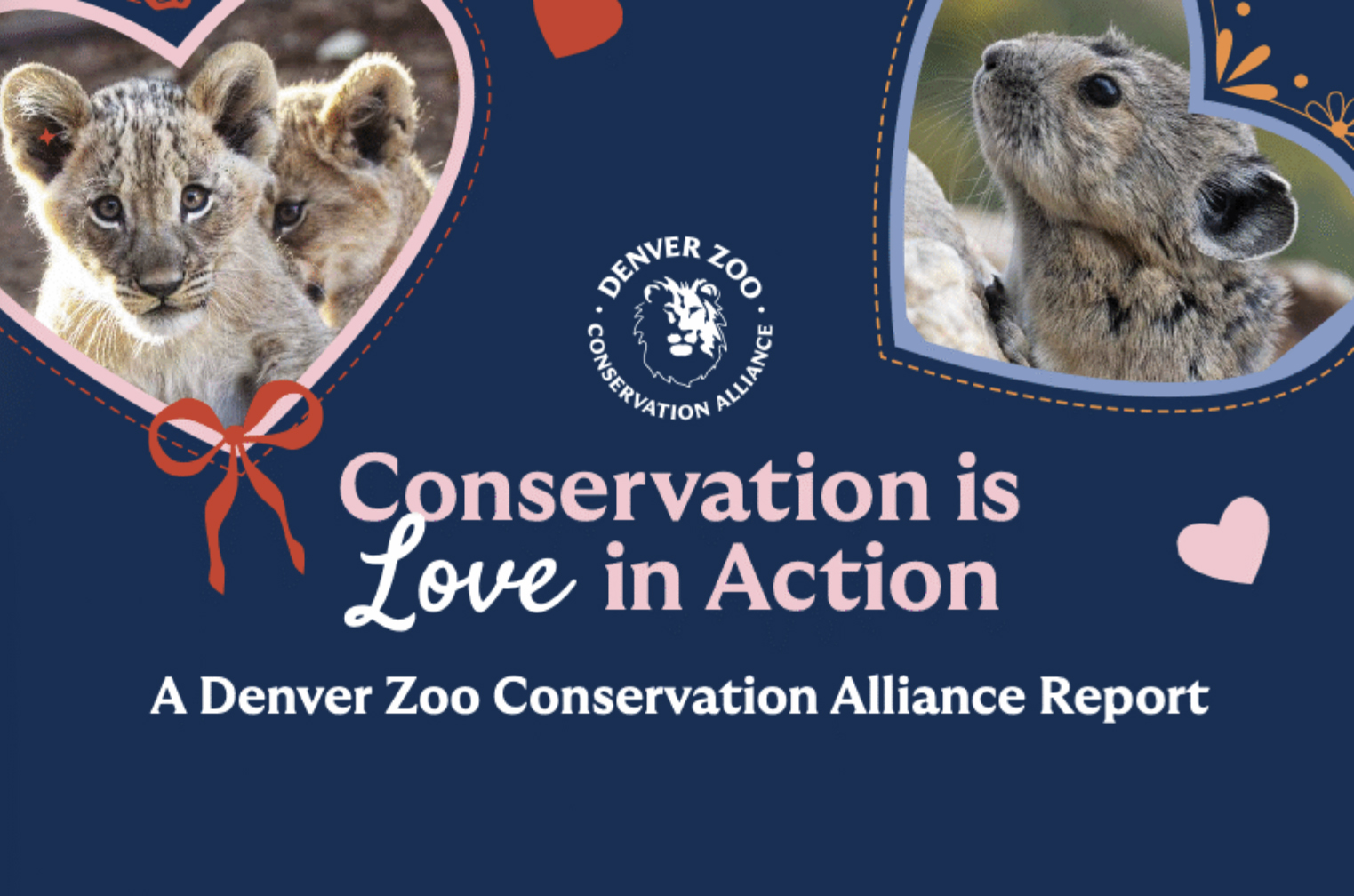 2025 Community Impact Snapshot