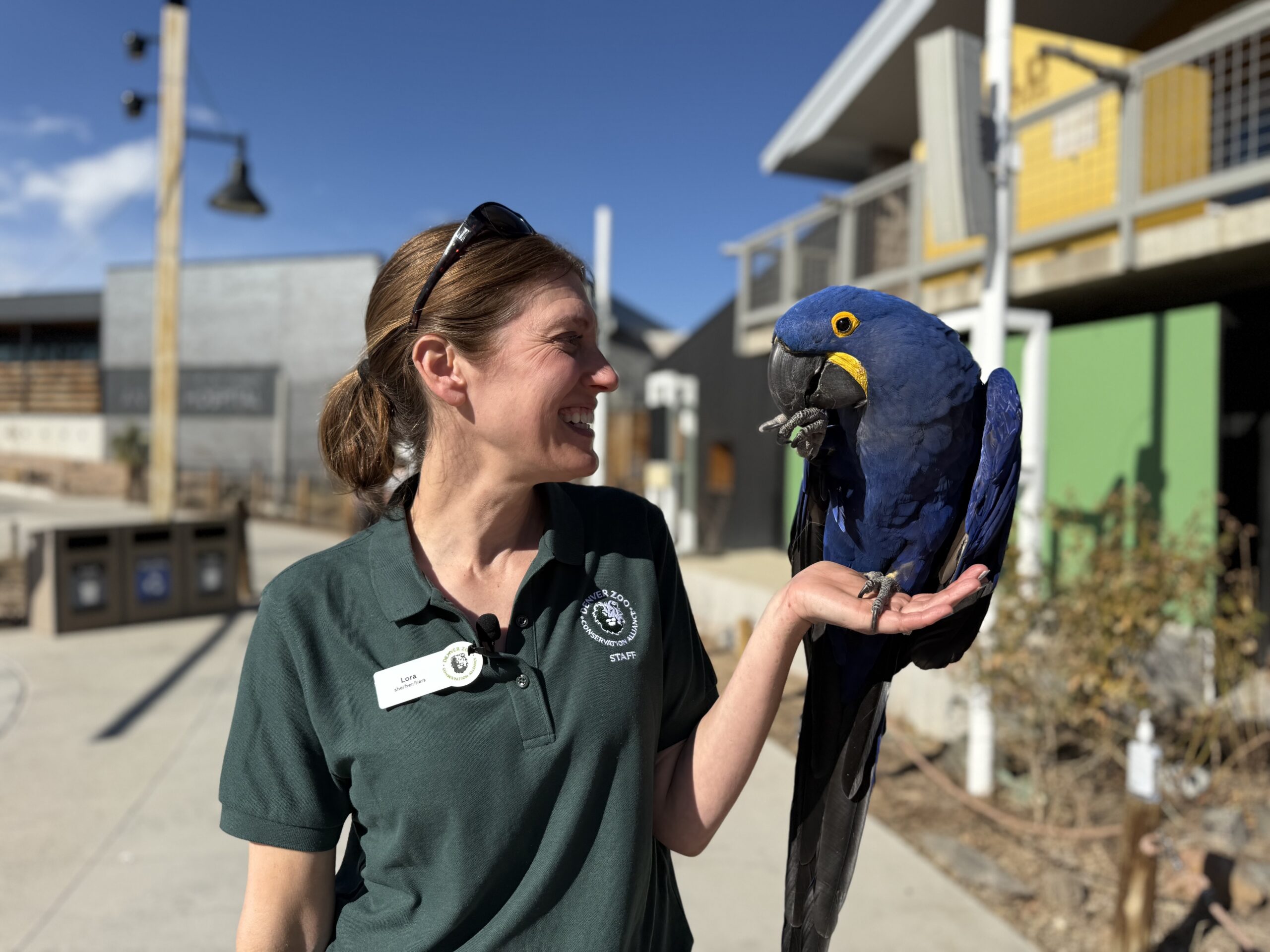 Leading with Love for International Women's Day - Denver Zoo